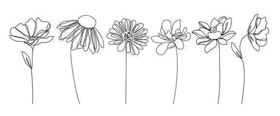 Flowers Line Drawing Set Black Sketch Isolaned on White Background. Botanical Line Art of Flowers Drawing for Minimalist Wall Decor, Wall Art, Prints, Invitations. Vector EPS 10