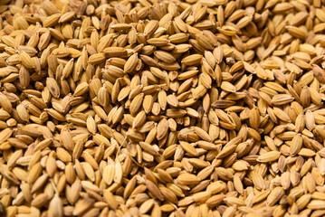 Grains of unpeeled long-grain rice