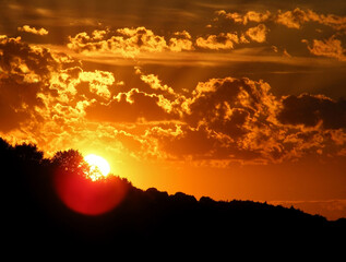 sunset over the forest