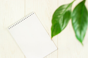blank notebook on a light wooden table with green leaves