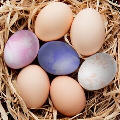 Rural composition with pastel color eggs. Easter Pysanky motif. 