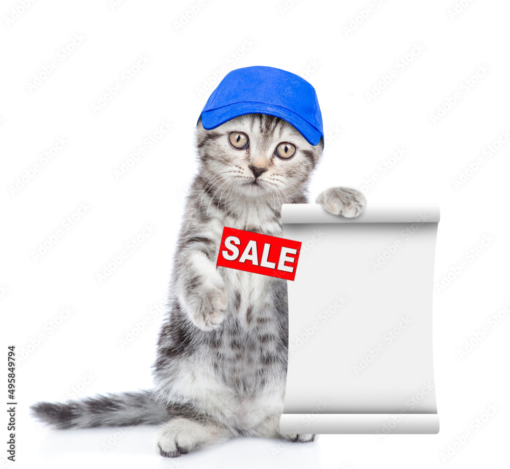 Aufkleber cute kitten wearing blue cap shows sales symbol and empty list. isolated on white background