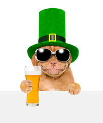 St. Patricks Day. Funny puppy wearing sunglasses and hat of the leprechaun holds beer above empty...
