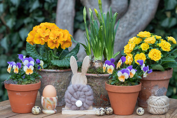 rustikale Osterdekoration mit Osterhasen und Frühlingsblumen in Terracotta-Töpfen