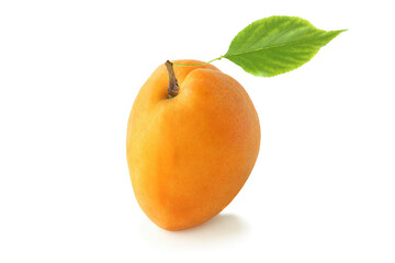 The big flat apricot with leaf isolated on white background