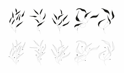 Set of black silhouettes of tropical leaves on an isolated white background. Botanical tree branches, palm leaf on the stem. Spring summer leaf. Concept design logo icons. Vector illustration.