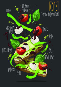 Caprese Avocado Toast. Vector Illustration