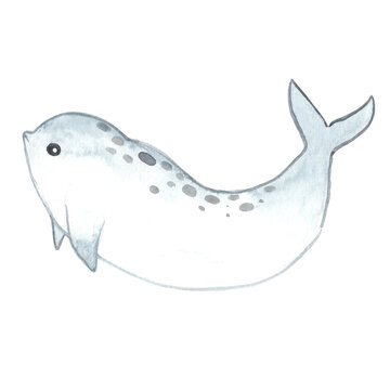 irrawaddy dolphin watercolor illustration for decoration on sea life and ocean.