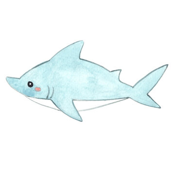 Blue shark watercolor illustration for decoration on sea life and ocean.