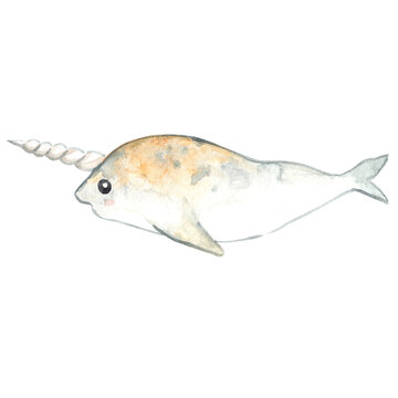 recommend clip art: narwhal watercolor illustration for decoration on sea life and ocean.