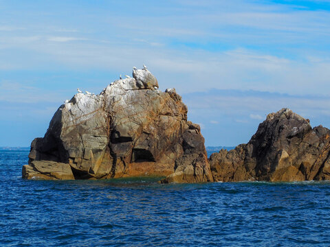 Rocher avec fous de Bassan, archipel des sept &icirc;les, Perros-Guirec
