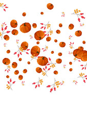 Yellow Gourd Background White Vector. Rowan Drawing. Colorful November Texture. Park Template. Green Plant Oak Border.