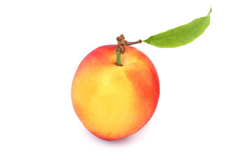 Tasty nectarine with leaf isolated on white