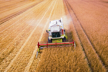 Combine harvester harvesting from above - Ripe wheat in the field