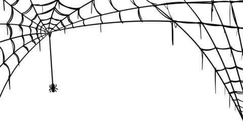 Spider web isolated on white background. doodle Vector illustration of cobweb.