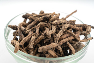 Desiilaaz Kutki (Pichrorhiza kurrora) over isolated white closeup