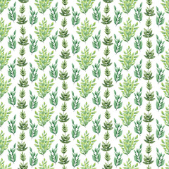 Watercolor seamless pattern with various decorative flowers and leaves