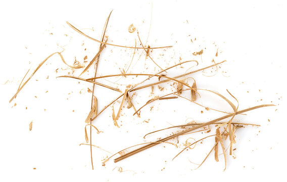Dry bamboo.Swarf and wood chips on a white background.