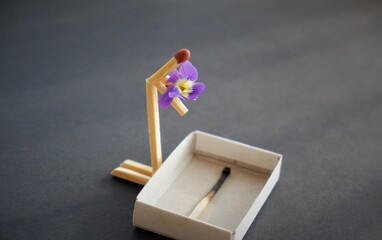 matchstick man mourns dead burnt matchstick wife lying in matchbox coffin with purple color flower...