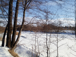 Old trees and young growth of alder on the banks of a frozen river covered with snow. End of winter. A bright sunny day, azure blue sky with clouds like mountains. Mural paper. Horizontal photo.