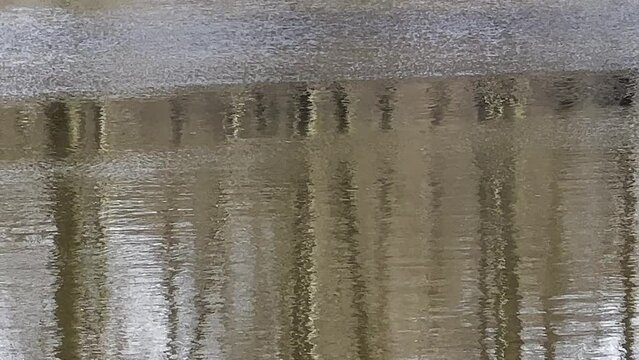 LUSTRZANE ODBICIA DRZEW W WODZIE. RUCHOME TŁO Z LUSTRZANYM ODBICIEM DRZEW W WODZIE.