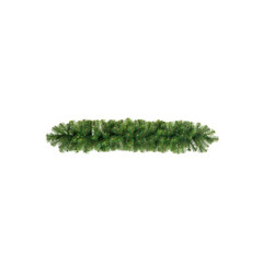 Fototapeta premium Unadorned Christmas tree isolated on white