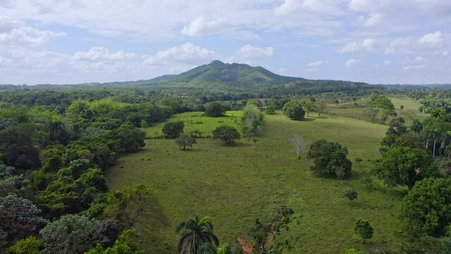 Forest Bordering an Open Field with a Mountain and Cloudy Skies in the Background Bayaguana Dominican Republic - Forward Panning Aerial Shot