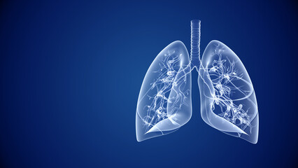Human lungs healthcare and medical abstract background - obrazy, fototapety, plakaty