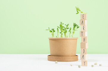 Young sprouts potted in pot, seeds peas, lettering on wood cubes - Earth day  on white wood table and beige wall. Save planet background.