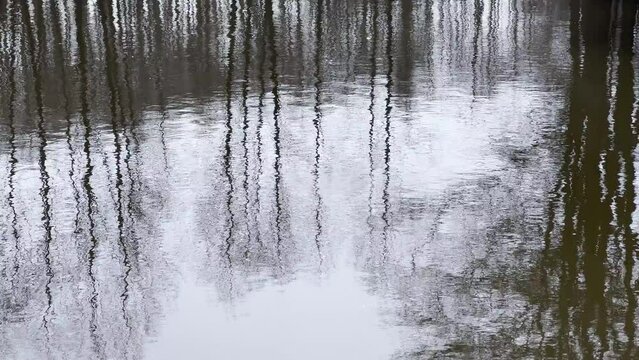 LUSTRZANE ODBICIA DRZEW W WODZIE. RUCHOME TŁO Z LUSTRZANYM ODBICIEM DRZEW W WODZIE.