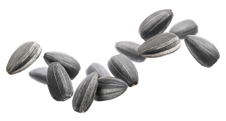 Black sunflower seeds, isolated on white background