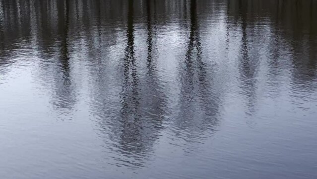 LUSTRZANE ODBICIA DRZEW W WODZIE. RUCHOME TŁO Z LUSTRZANYM ODBICIEM DRZEW W WODZIE.