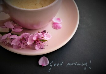 Good morning - pink cup of coffee with spring branch with pink flowers