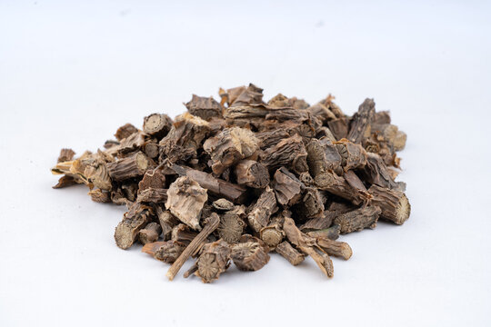  Giloy, also known as Tinospora, Guduchi, Cordifolia Closeup Over isolated White background Closeup