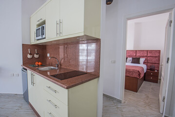 Interior design of luxury apartment kitchen