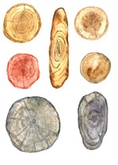 a set of watercolor wood slices. Brown, black and red cuts.tree trunks.wooden texture background