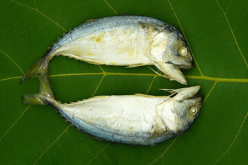 steamed mackerel on green leaf                    