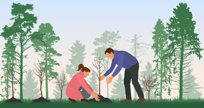 Concept of reforestation, environmental care. Planting trees. Man and woman plant bare tree. Vector illustration