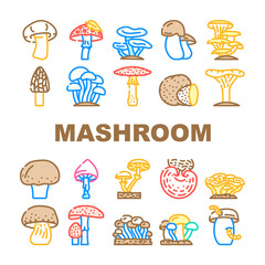 Mushroom Vegetable And Fungus Icons Set Vector. Shitake And Porcini, Morel And Toadstool, Fungi And Amanita Mushroom. Delicious Natural And Vitamin Champignon And Truffle Color Illustrations