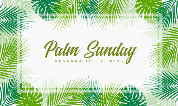 Palm sunday, hosana to the king text in green plam leaves and monstera leaves around frame vector design