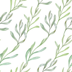 Pattern with delicate green leaves, watercolor illustration