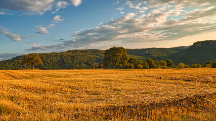 A sunny day in the Saarland with a view over meadows into the valley. Field in the foreground