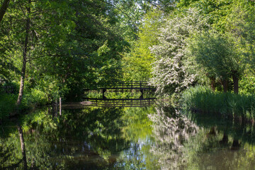 Bridge in the green forest. European landscape with the river. River and the bridge in the public park