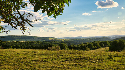 A sunny day in the Saarland with a view over meadows into the valley. Tree in foreground