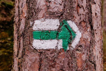 Zielony znak szlaku leśnego
