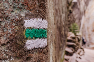 Zielony znak szlaku leśnego