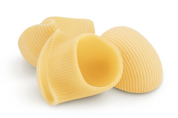 lumaconi pasta isolated on white background with clipping path and full depth of field