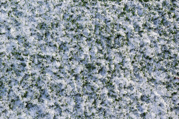 The football field with artificial green grass is covered with a light layer of snow. Early spring. Green grass on the football field is visible from under the snow. Amateur football field