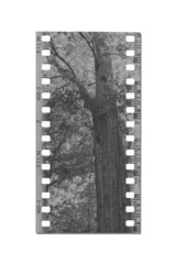 (35 mm.)Vintage film frame.With white space.film camera.