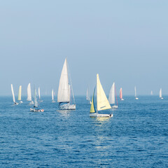 Group of sailboats in the sea